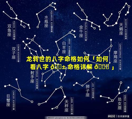 龙转世的八字命格如何「如何看八字 🐱 命格详解 💐 」